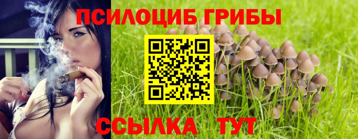 Псилоцибиновые грибы ЛСД  Вход с VPN  Псилоцибиновые грибы ЛСД  Санкт-Петербург 